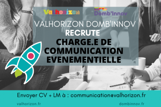 10sept.MODELE Offre demploi VH DI ICARE reseaux sociaux + site DI 2021 11