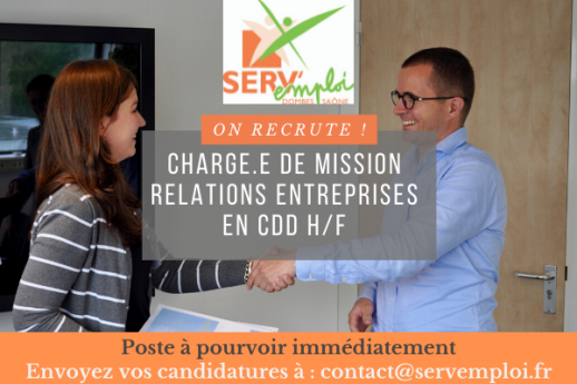 Copie de OCT2022.MODELE Offre demploi VH DI ICARE reseaux sociaux + site DI 2021