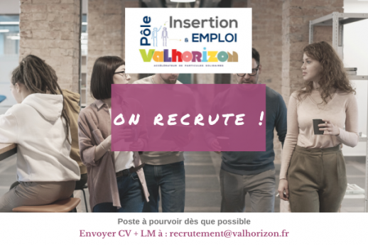 INSERTION Offre demploi 1
