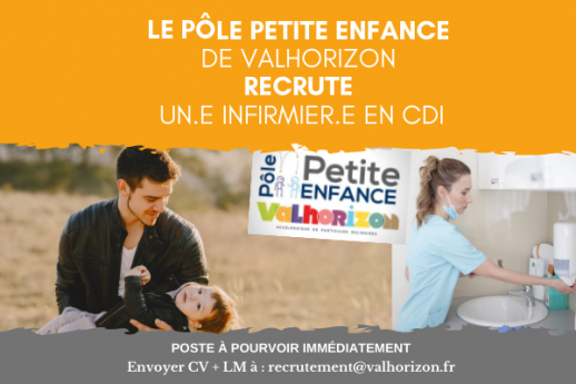 Offre demploi VH DI reseaux sociaux + site DI VH 28 05 MAD 15