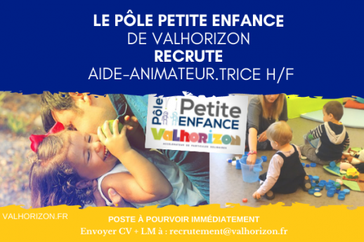 Offre demploi VH DI reseaux sociaux + site DI VH 28 05 MAD 6