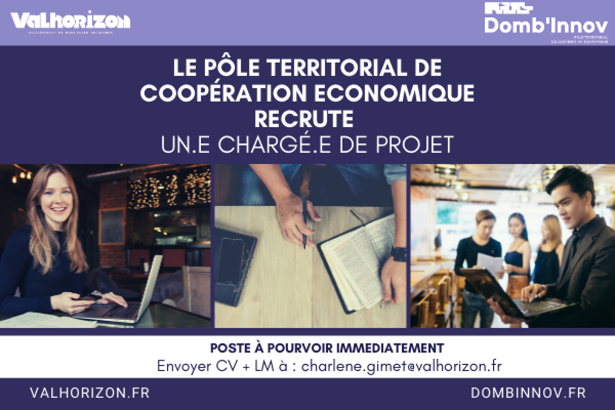 MODELE Offre demploi VH DI reseaux sociaux + site DI VH 28 05 MAD 19
