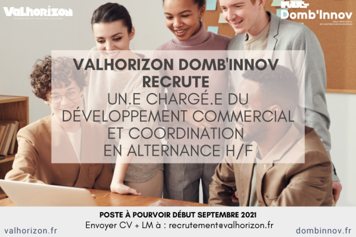 MODELE Offre demploi VH DI reseaux sociaux + site DI VH 2805 MAD 13