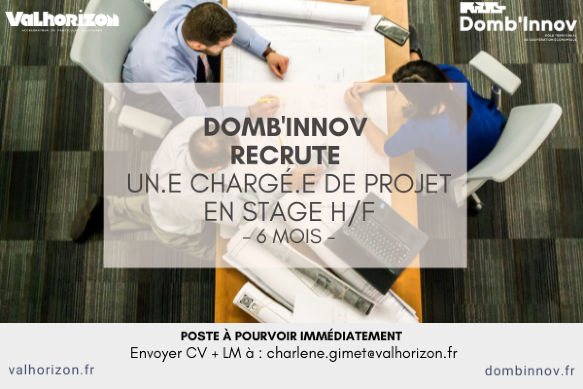 MODELE Offre demploi VH DI reseaux sociaux + site DI VH 2805 MAD 14