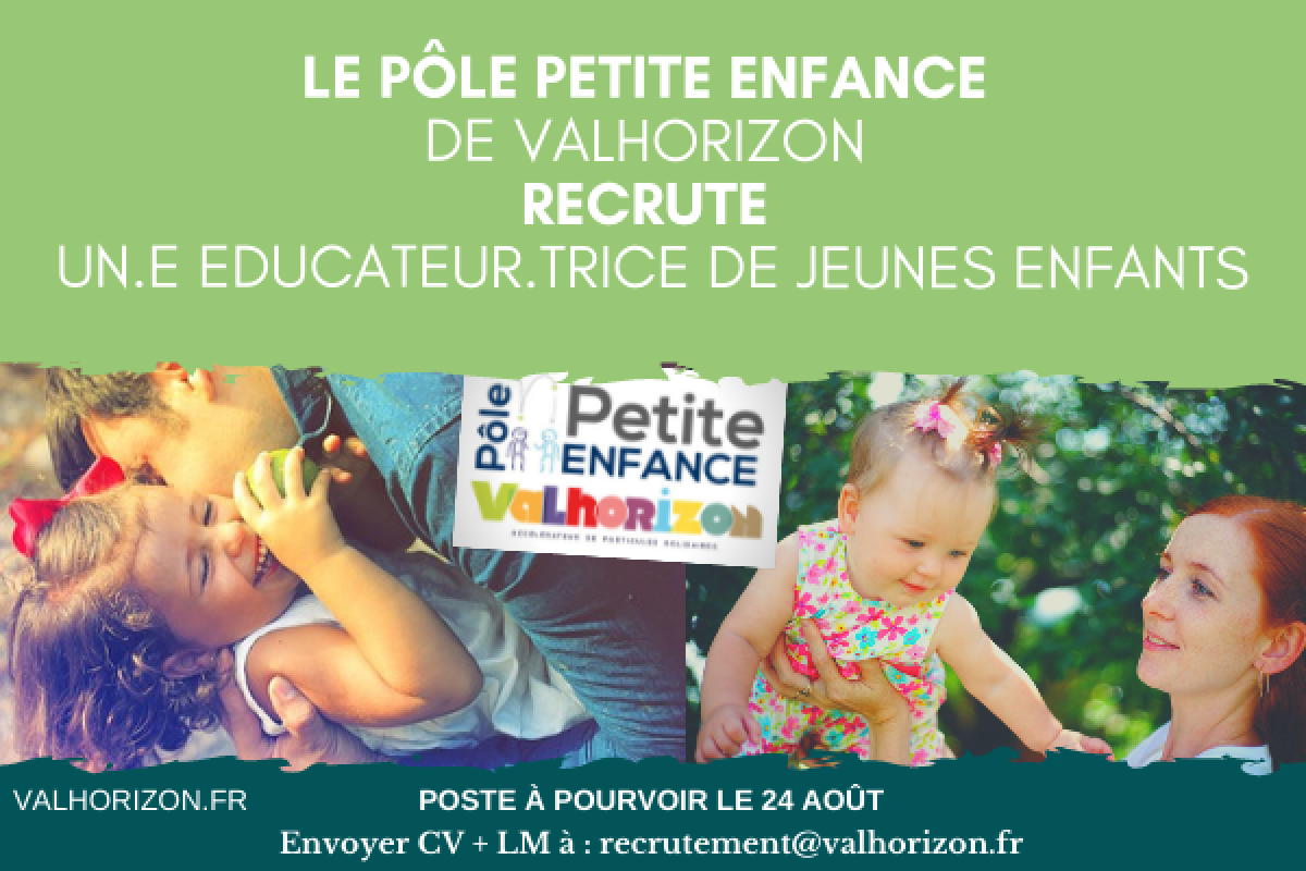 Offre demploi VH DI reseaux sociaux + site DI VH 28 05 MAD 13
