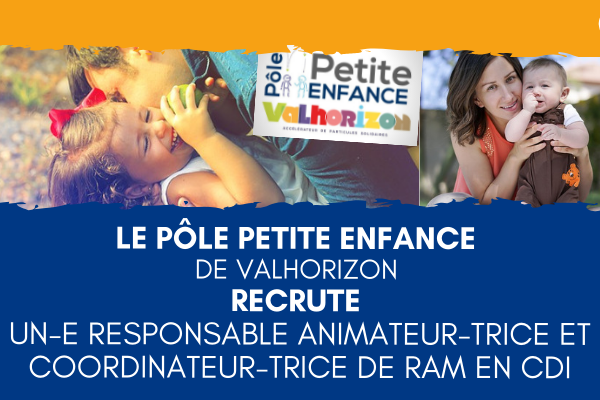 Offre demploi VH DI reseaux sociaux + site DI VH 28 05 MAD 2