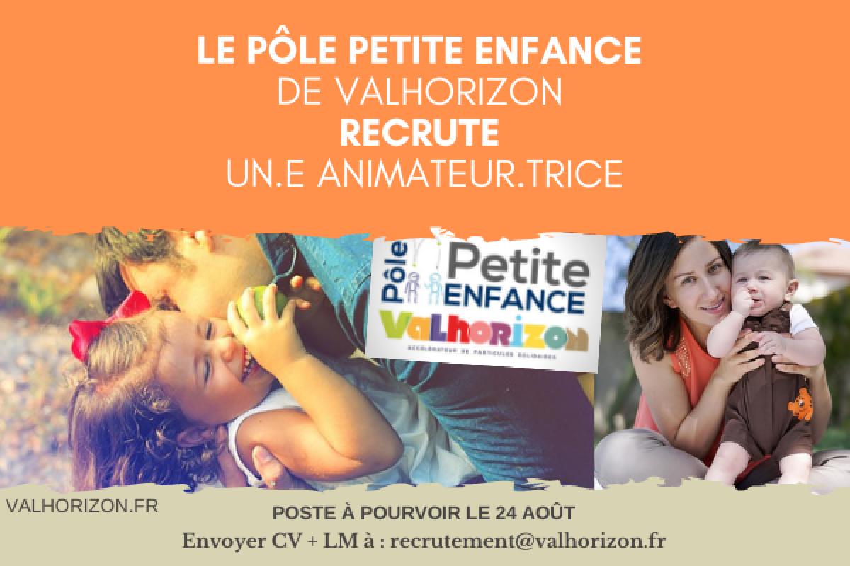 Offre demploi VH DI reseaux sociaux + site DI VH 28 05 MAD 8