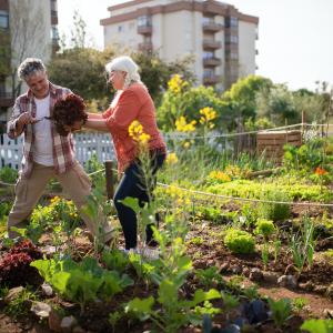 Defi 3 jardinons